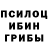 Галлюциногенные грибы прущие грибы Alexandru Sarchisov