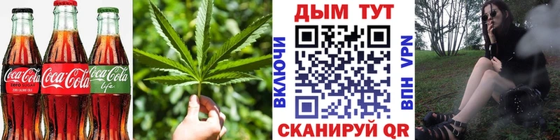 где купить наркоту  Саров  Cannafood марихуана 