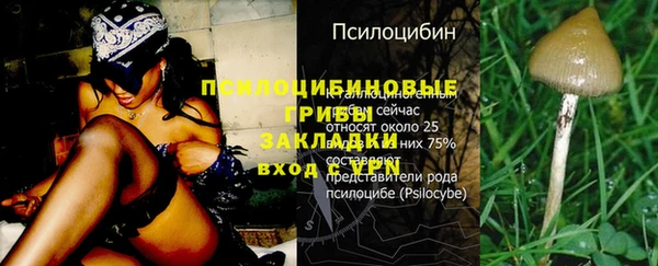 дистиллят марихуана Заводоуковск