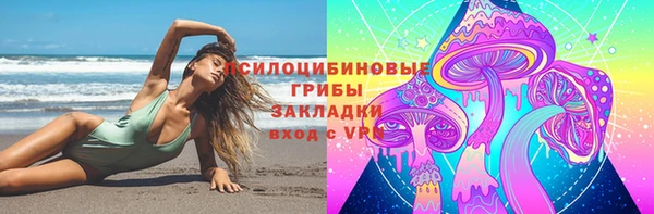 СК Аркадак