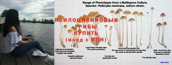 jwh Арсеньев