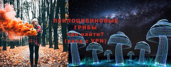 СК Аркадак