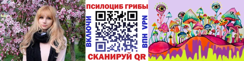 наркотики  Саров  Галлюциногенные грибы GOLDEN TEACHER 